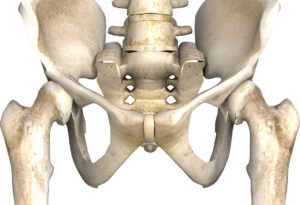 股関節痛の特徴イメージ
